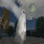 avatar.jpg