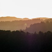 P1100354-3.jpg