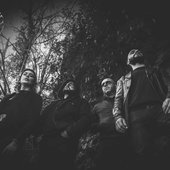 Bruit Parasite