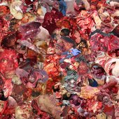 Auritripsy - Collection of Cadaveric Spasms