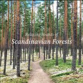 Relaxing Sounds of Scandinavian Forests