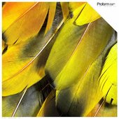 Proform