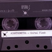 Acanthometra_1995_Coital_Flesh_tape_image