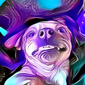 goomboy 的头像