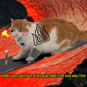 infireg 的头像