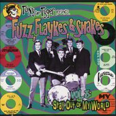 Fuzz, Flaykes & Shakes, Vol. 3