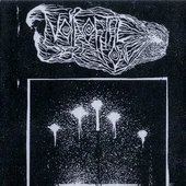 Candlelight Rituals: A Requiem for the Human Demise
