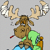 Motormoose 的头像