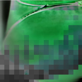 Avatar for laylaj3
