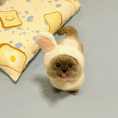 bonkywonkerson 的头像
