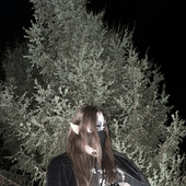 NAIVE FOREST FEAR