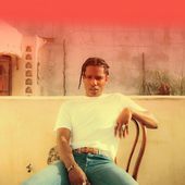 a$ap rocky x neil krug