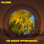 For Missed Opportunities