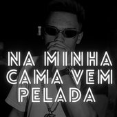 Na Minha Cama Vem Pelada - Single