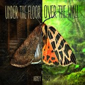 2016 - Under The Floor, Over The Wall.jpg
