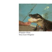 Very Cool Alligator