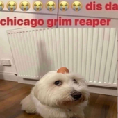 Lil_Goblin 的头像