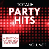 Total Party Hits, Vol. 1
