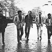 The Tigers (U.K. new wave / ska band, 1979)