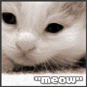 Avatar di SuperMeow