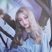 Go Won