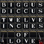 Twelve Inches Of Love