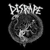 Disräpe