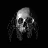 RUIN - experimental band from Berlin, Germany