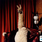 La llama que llama