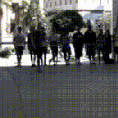 1000081151.gif