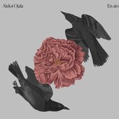 En aio