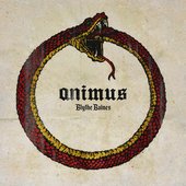 Animus