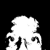 Avatar for J-Auto