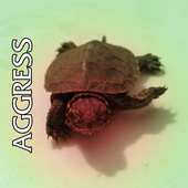 Avatar for mootis