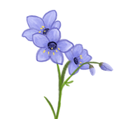 Avatar for natalexandra77