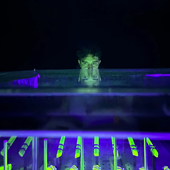 img-2025-02-11-15-30-12.png