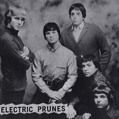 The Electric Prunes_10.JPG