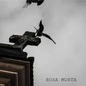 Rosa Morta