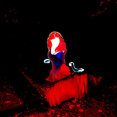 Avatar for LadyofFlies