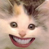 w00tasdf 的头像