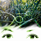 GreenmindedGirl için avatar