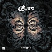 Penima
