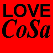 LoveCoSa 的头像