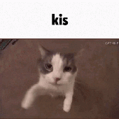 96665d839f552bb2c94468080709df7d.gif