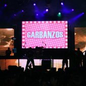 Palmares 2010