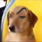 joharim için avatar