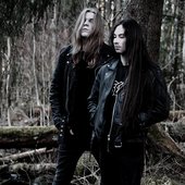 Havukruunu