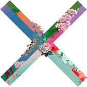 X