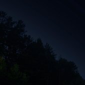 nightwood