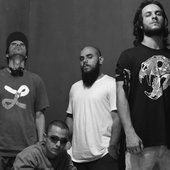 Medusa Live